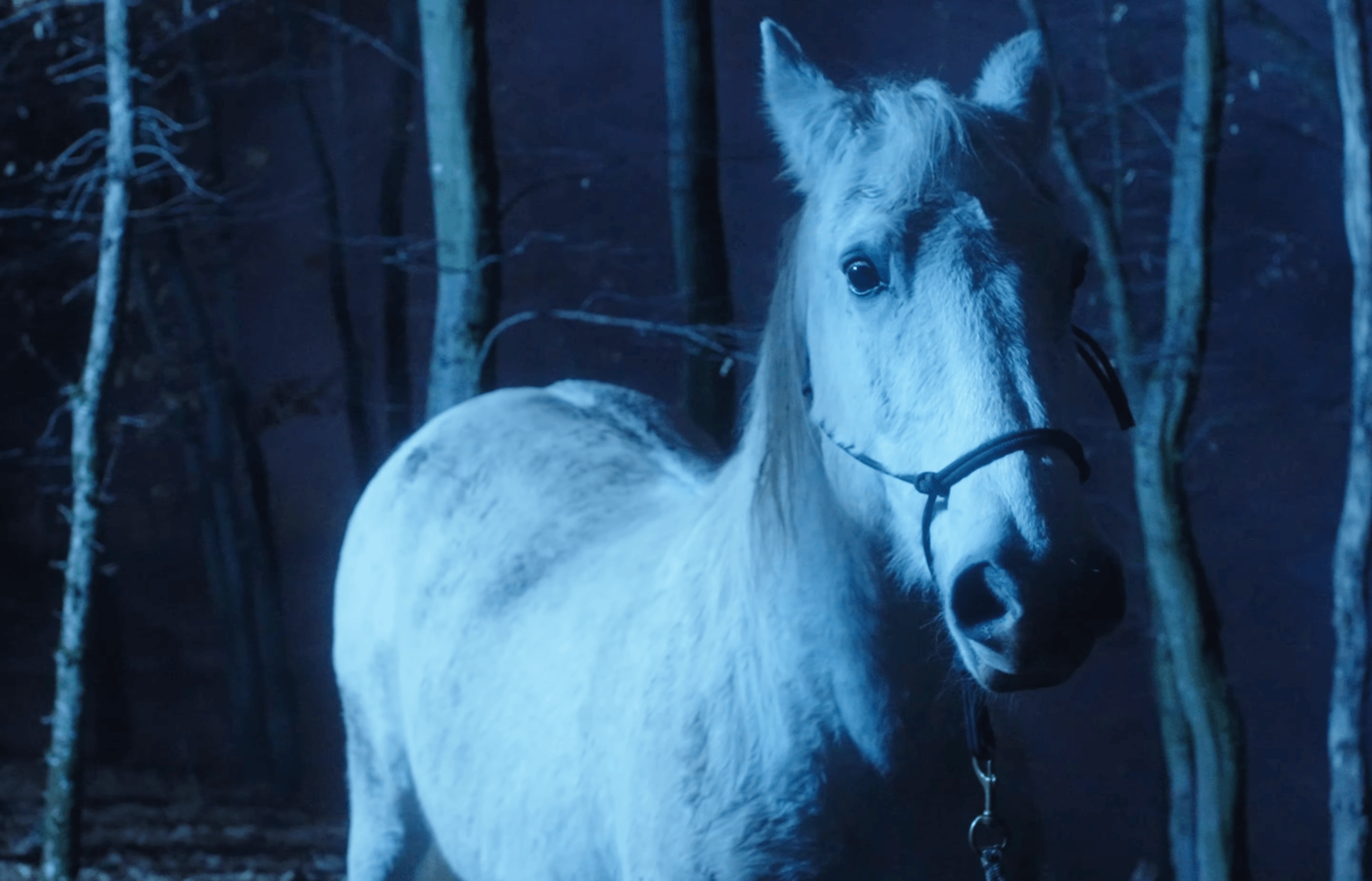 Music video for Brenda