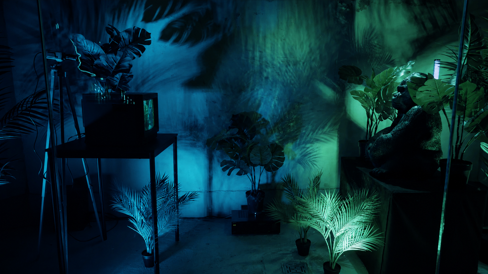 light art tv ape video still 1