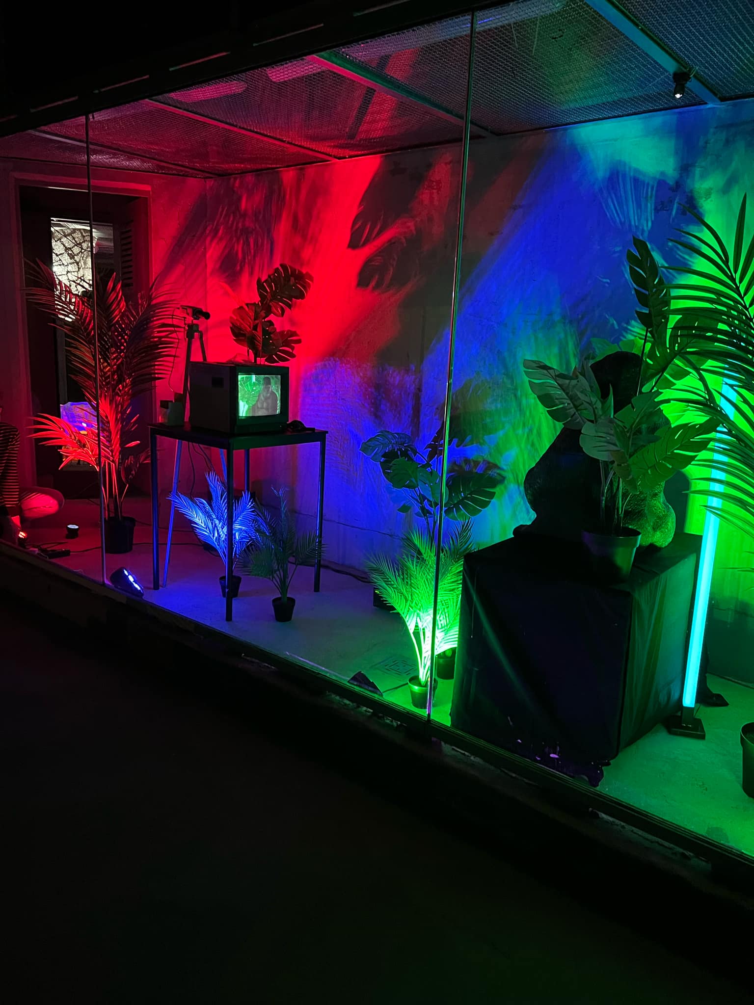 light art tv ape video still 3