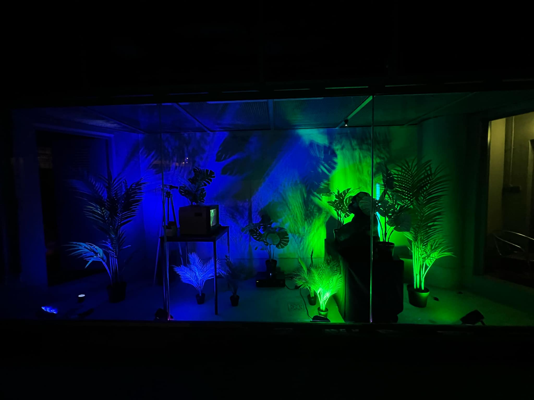light art tv ape video still 3