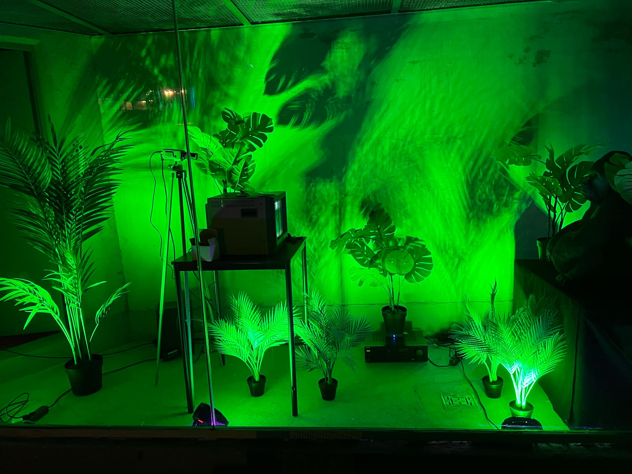 light art tv ape video still 3