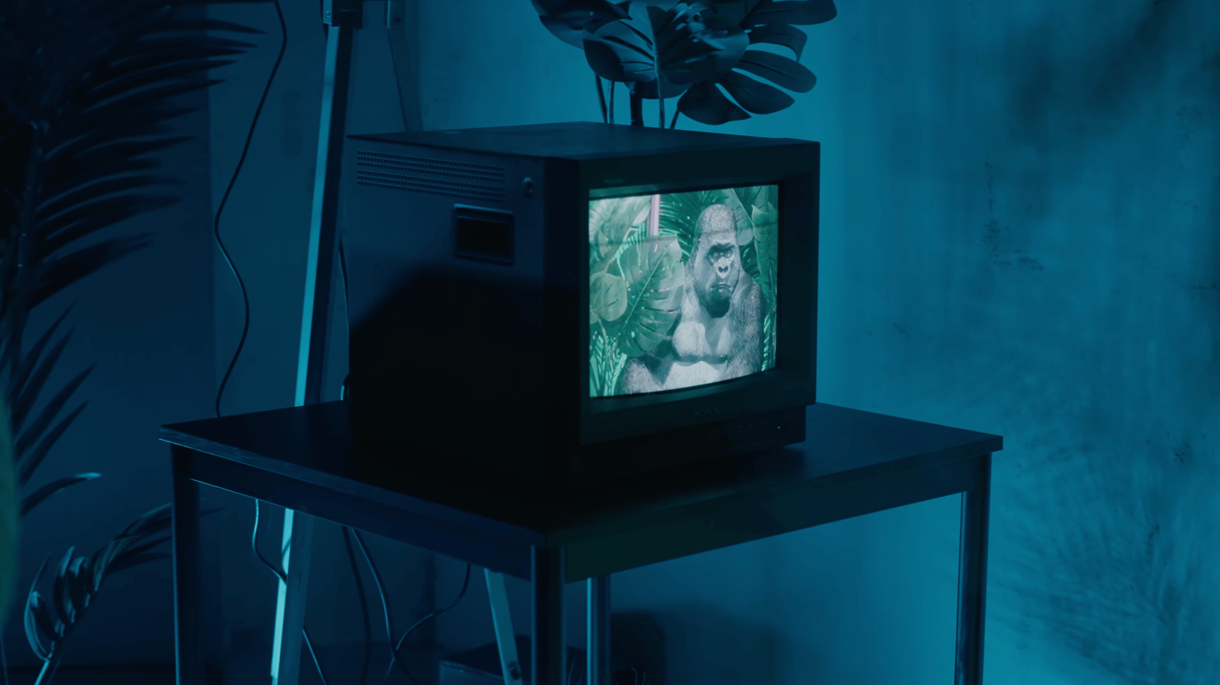 FÉNYDÓM 2. - LIGHT ART IN THE BIODOME